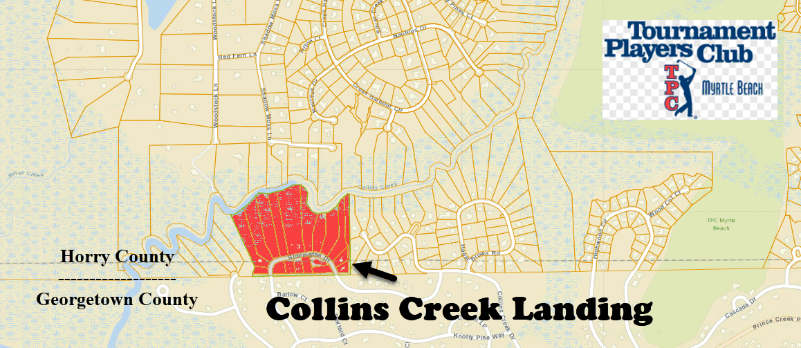 New home communiyt of Collins Creek Landing in Prince Creek