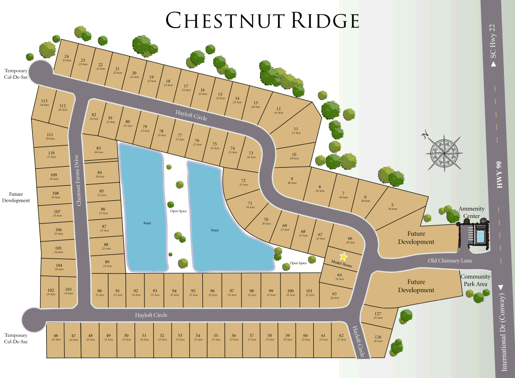 Chestnut Ridge new home community in Conway by Beverly Homes