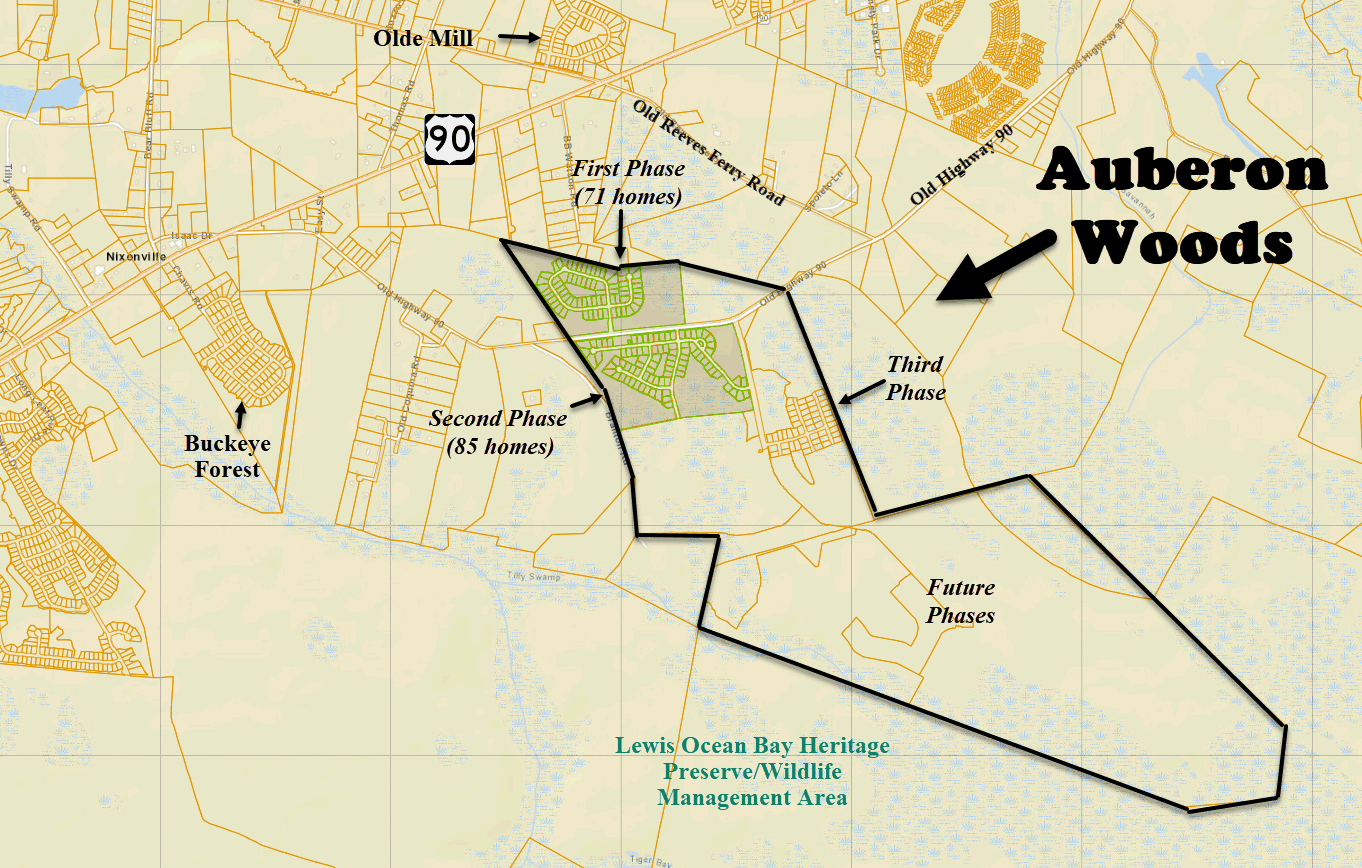 New home community of Auberon Woods in Conway