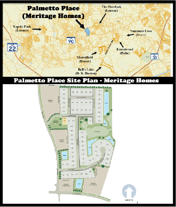 Palmetto Place in Longs by Meritage Homes