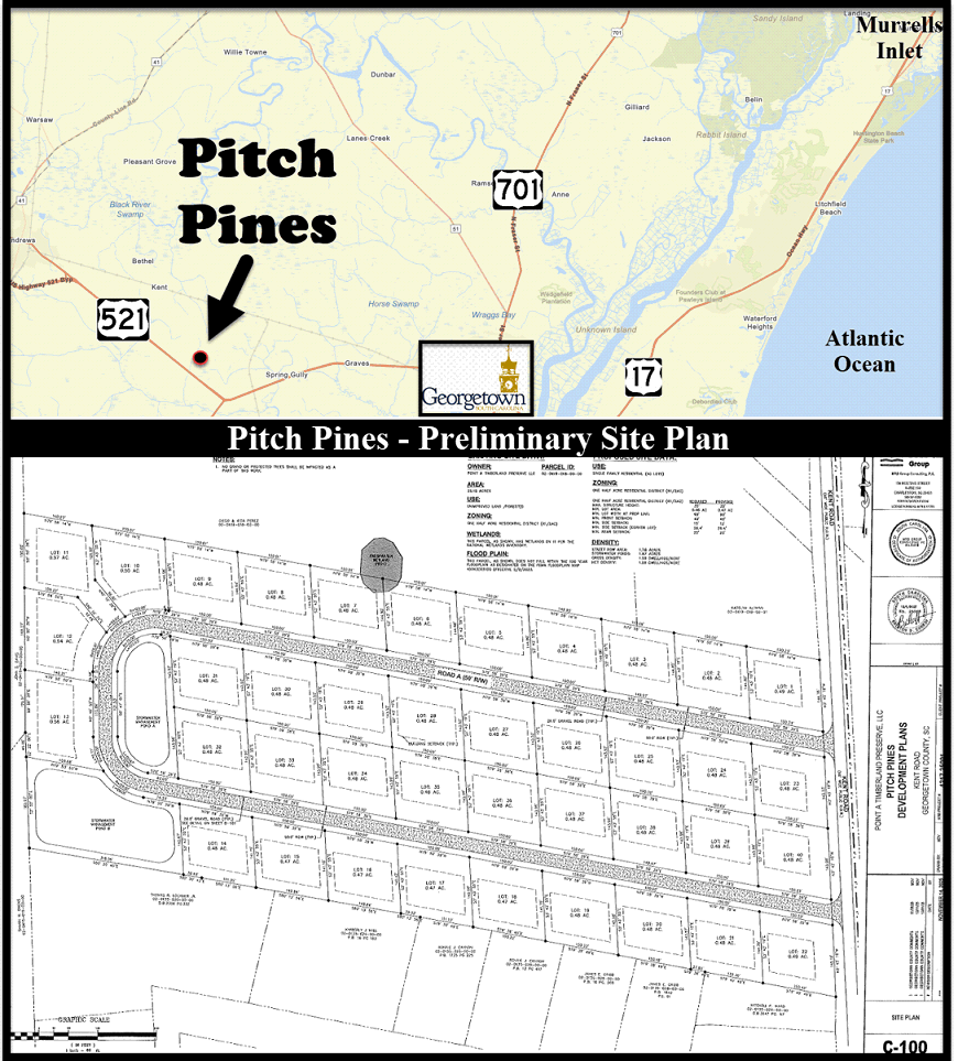 Pitch Pines in Georgetown, SC