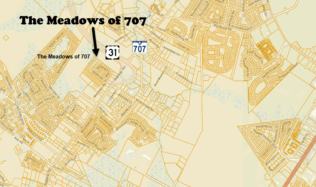 Meadows of 707 by D. R. Horton