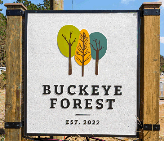 Buckeye Forest new home community in Conway