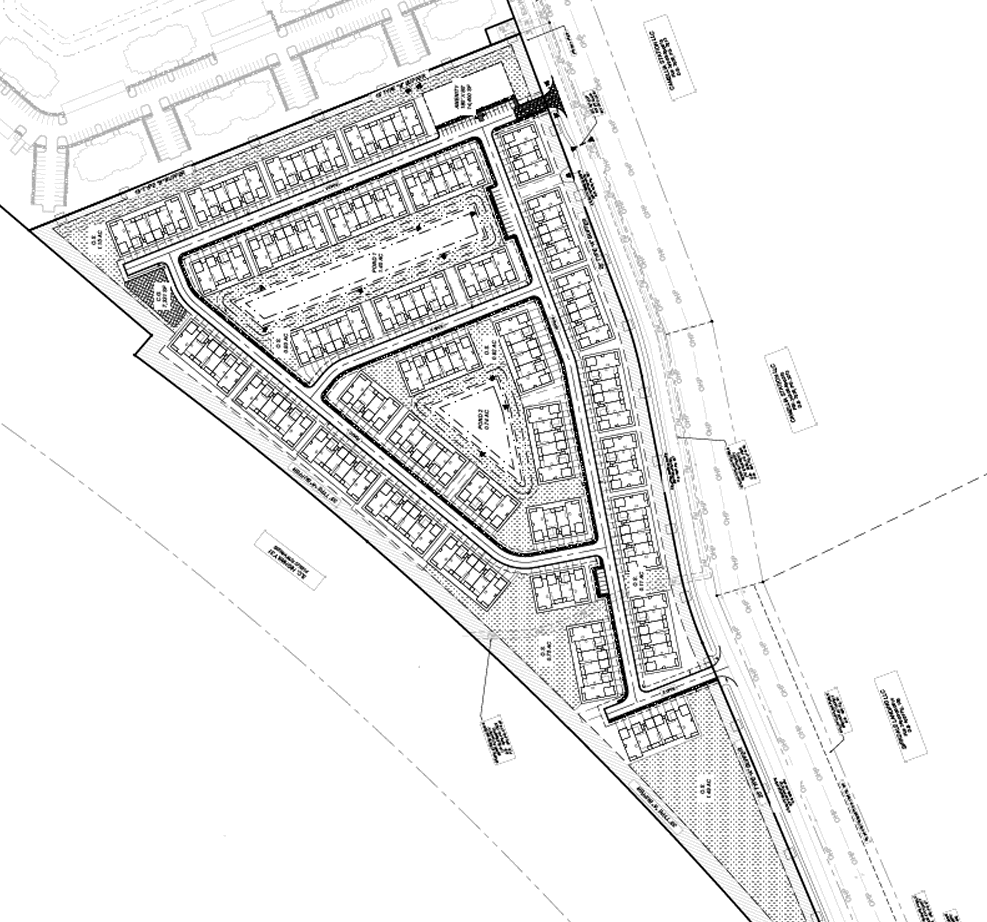 Conceptual Plan for the Palmetto Trace townhomes
