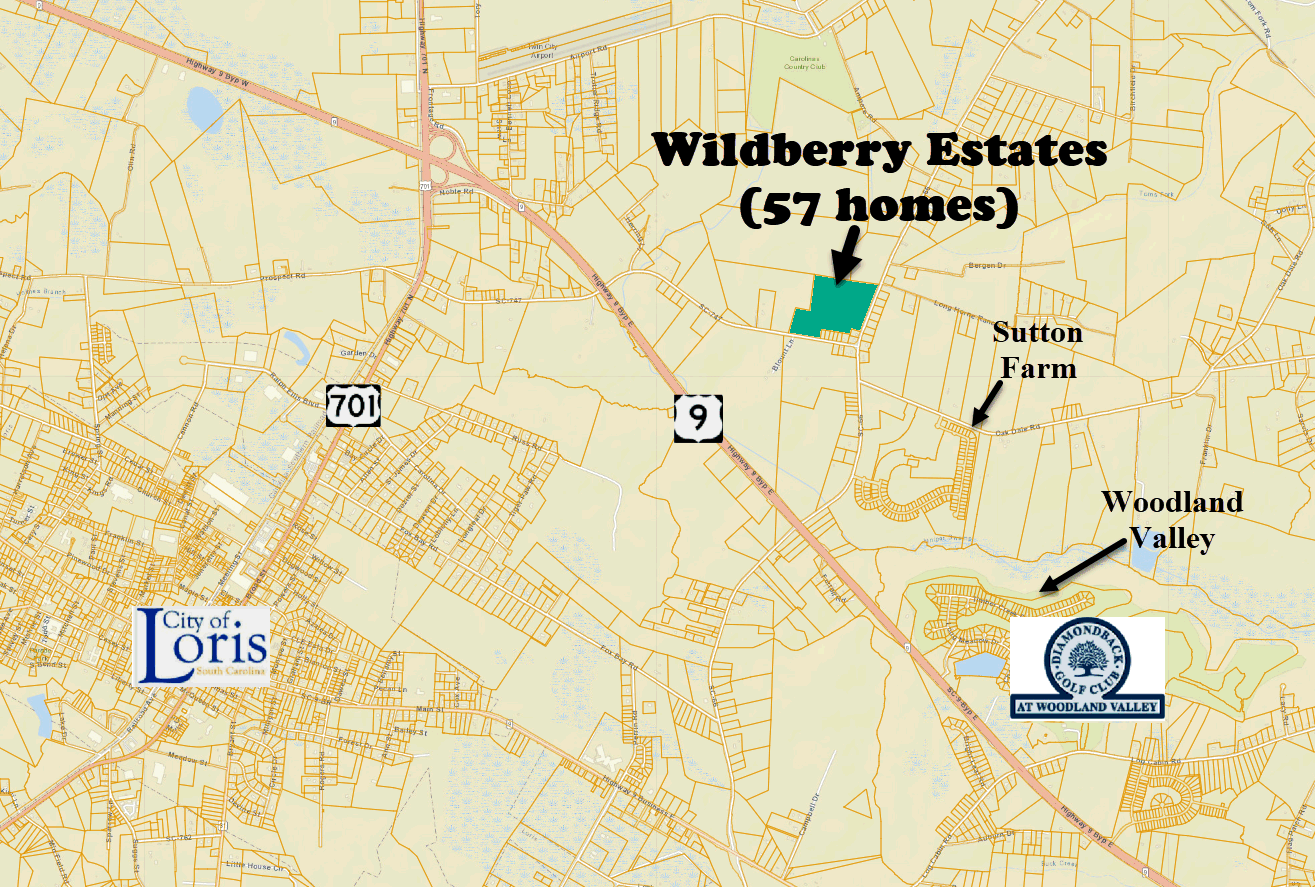 New home community of Wildberry Estates in Loris